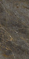 La faenza Aesthetica AeGol6278Lpm Коричневый Матовый Керамогранит 120х278 см