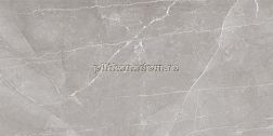 Cerrol Asam Gris Настенная плитка 30x60 см