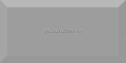 Absolut Keramika Vase Monocolor Plata Настенная плитка 10x20 см