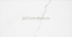 Saloni Ceramica Corinto Blanco Настенная плитка 31х60 см