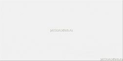 Paradyz Neve 410564 Настенная плитка 30x60 см